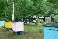 biesiada_2013_39_20130702_1346214425